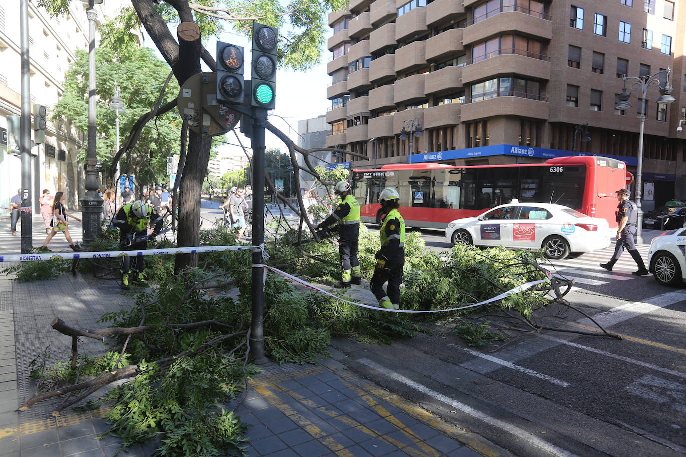 Las ramas han acabado sobre el carril bici. 