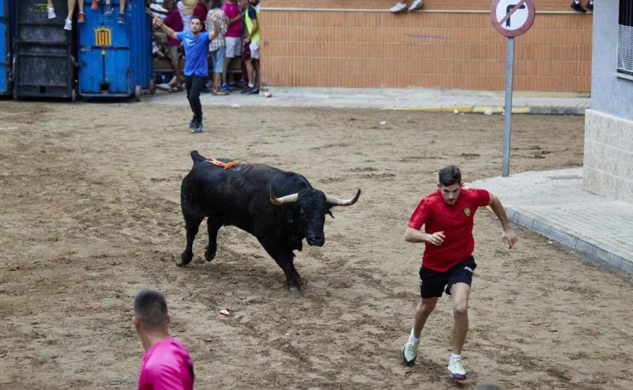 Un hombre corre delante de un toro en un evento de bous al carrer. 