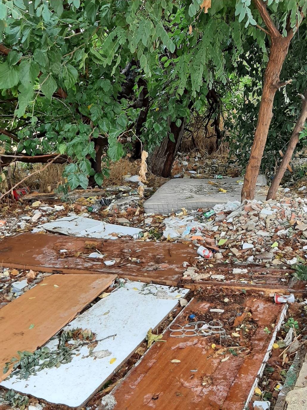 Fotos: El abandono se extiende por las calles de Cruz Cubierta