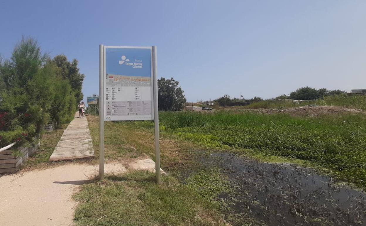 Tramo de la playa de Terranova en Oliva. 