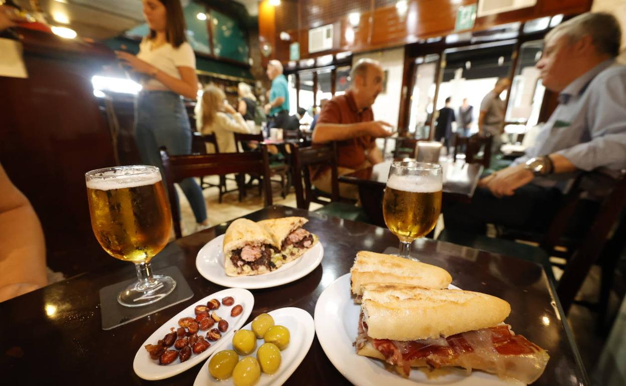 Bar Aquarium de Valencia | Así es la cafetería Aquarium de Boluda | Las  Provincias