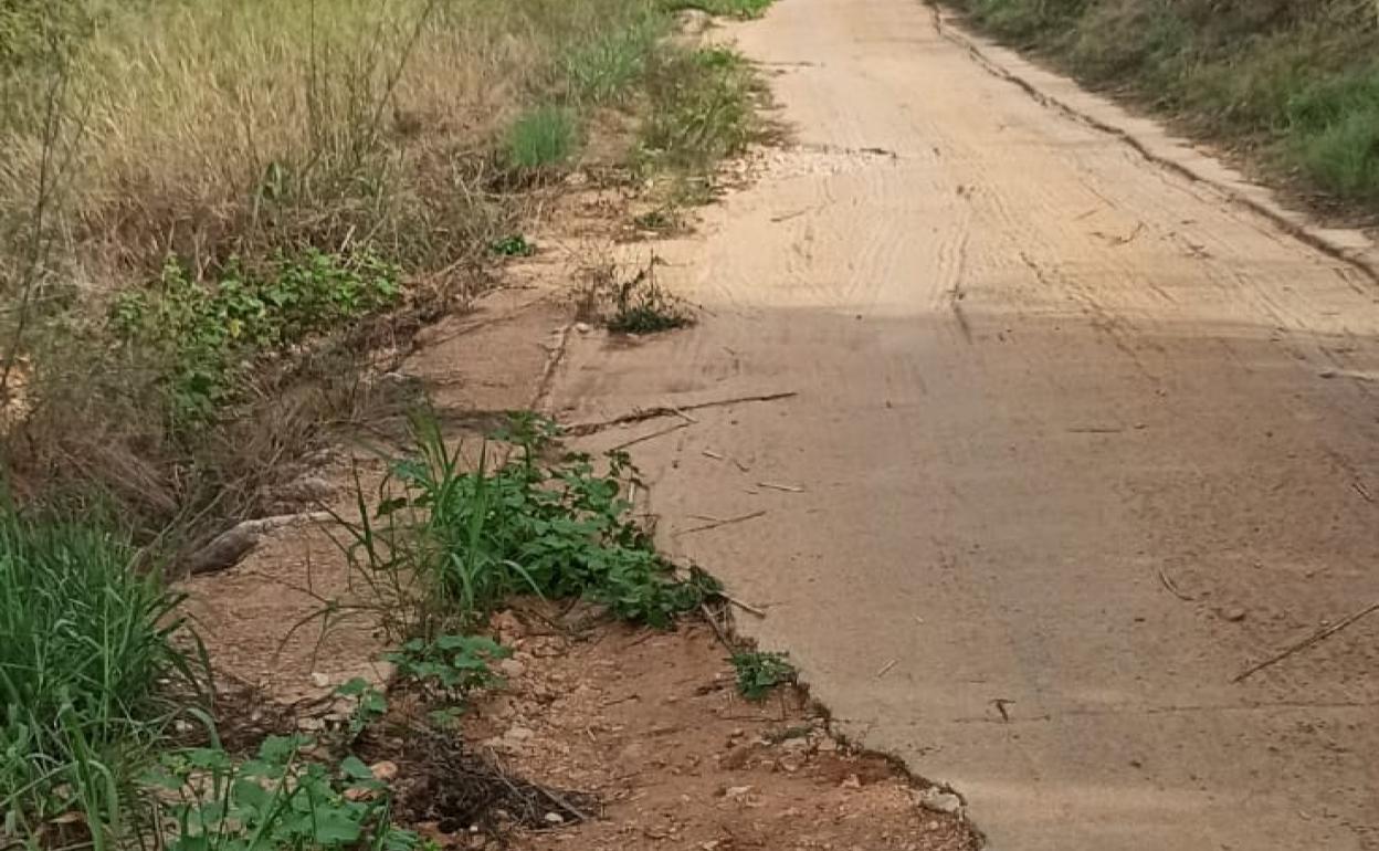 Propietarios de Alzira denuncian que se quedan sin camino para acceder a sus fincas rurales