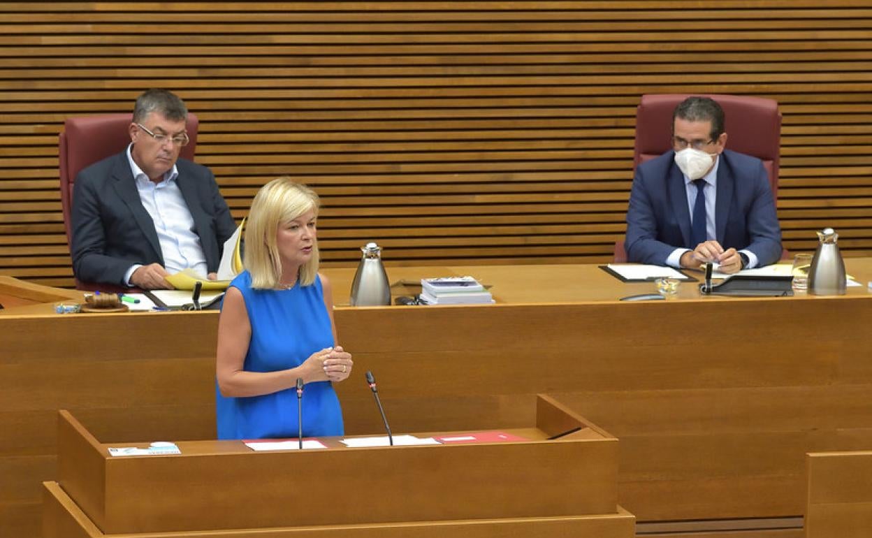 La consellera Bravo, durante una intervención en Les Corts. 