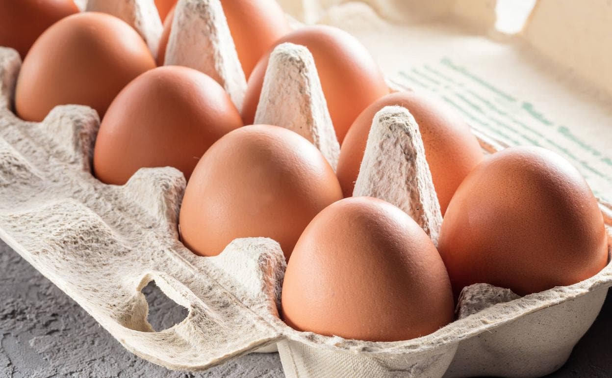 Cómo puedes saber si un huevo está fresco y es seguro para su consumo? -  Mejor con Salud