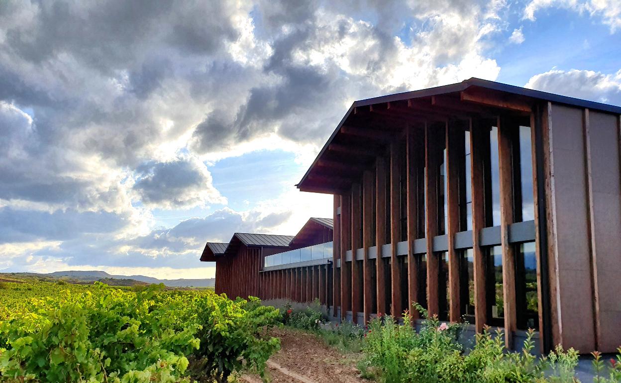 Así es la bodega de Boluda en Rioja