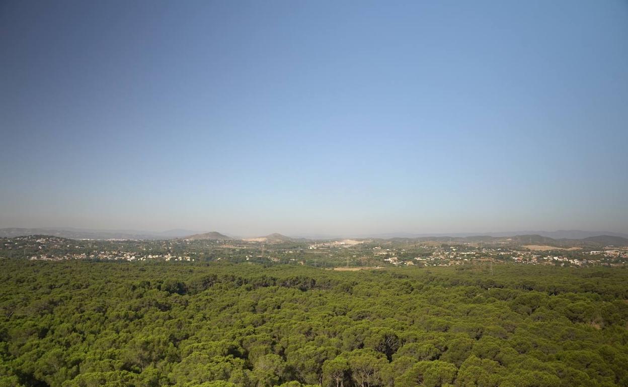 Una vista del paraje natural de La Vallesa. 