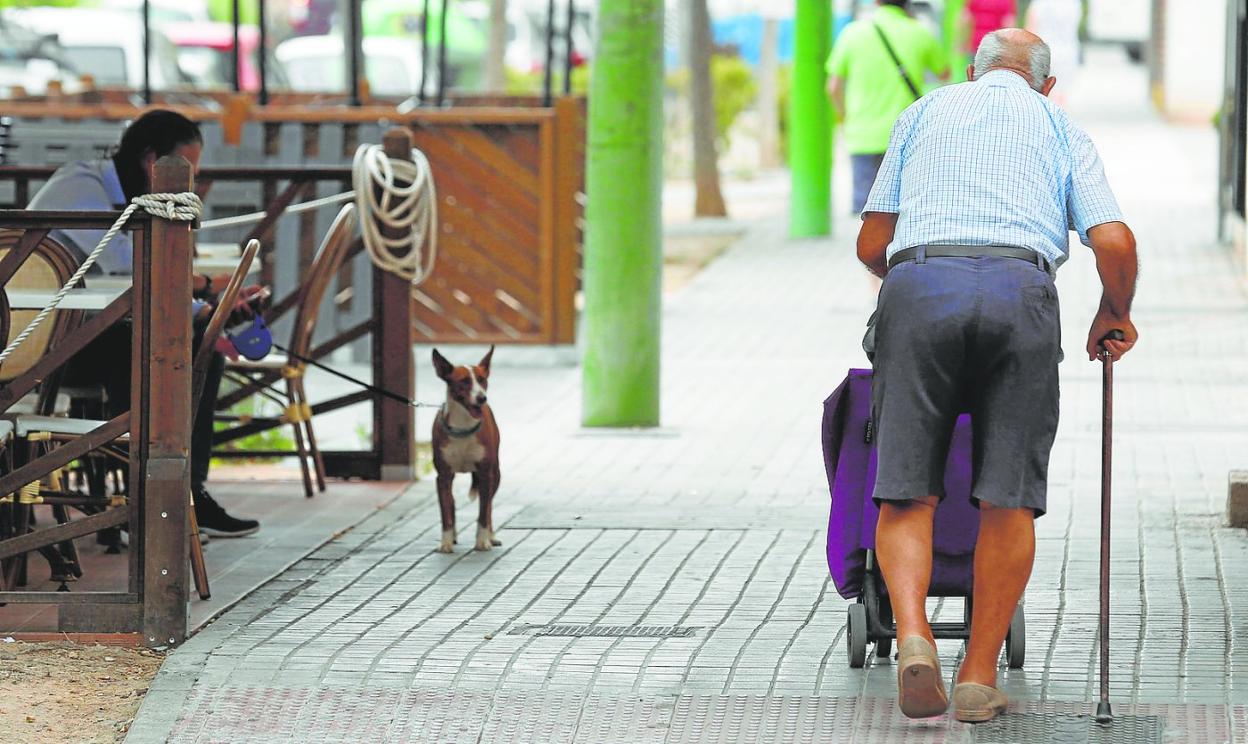Abusos en geriátricos de Valencia | Los geriatras alertan del aumento de los abusos económicos a ancianos