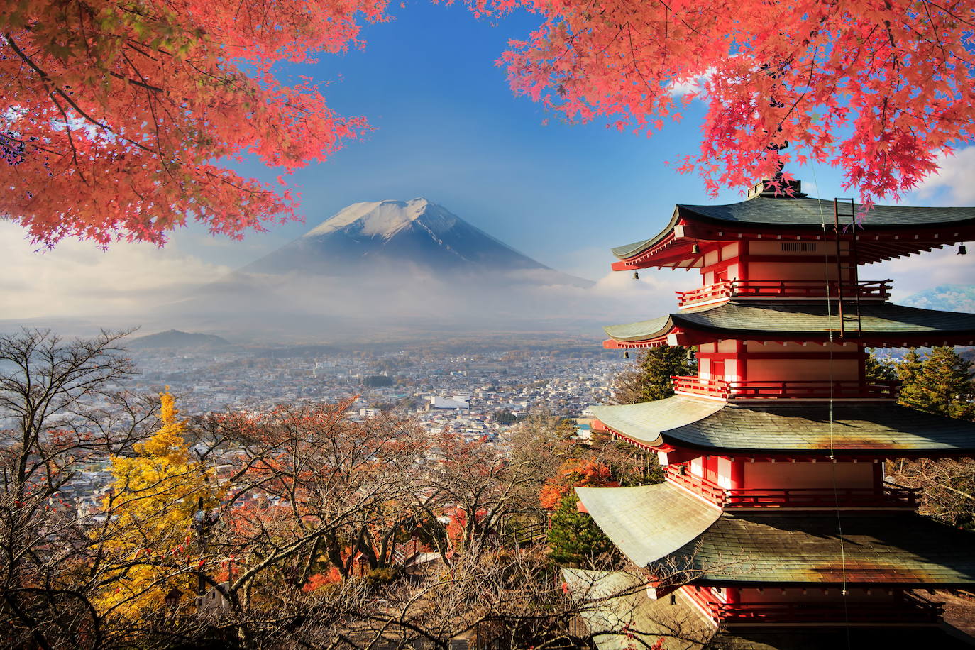 Uno de los mejores espacios que nos ofrece la ciudad nipona para esta generación amante de la naturaleza es el Jardín Botánico de Kioto, que alberga 12.000 especies de árboles, flores y plantas repartidas en 60 hectáreas en el norte de la ciudad. Otra sugerencia es el templo Ryoan-ji, reconocido como Patrimonio de la Humanidad por la UNESCO, que ofrece un llamativo jardín de rocas y un amplio jardín de paseo con un tranquilo estanque y patos residentes. Kioto es también un punto de encuentro gastronómico, ya que alberga 207 restaurantes de la Guía Michelin que son una forma muy especial para terminar un día de visita a la ciudad. 