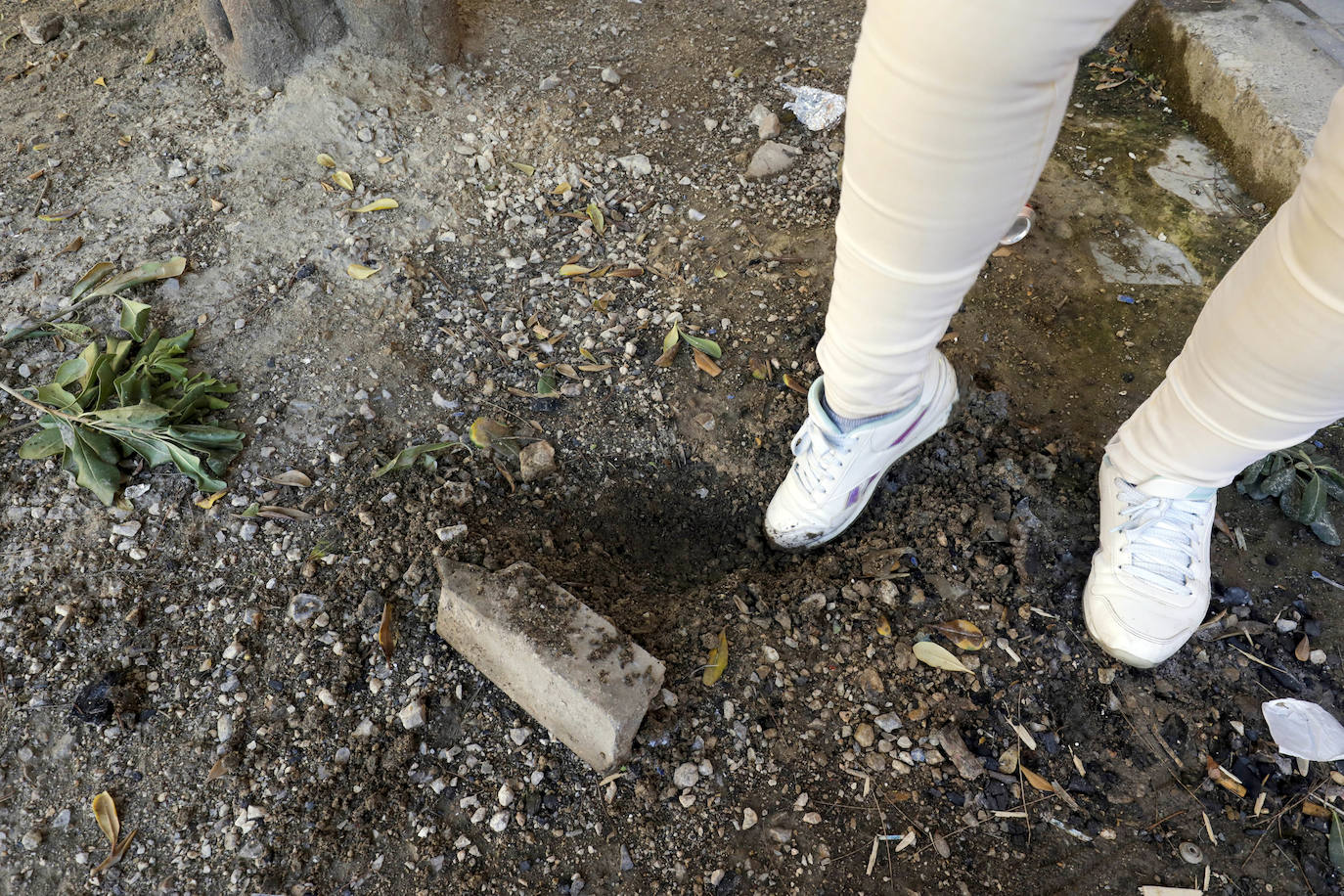 Fotos: Madrigueras de ratas en Valencia