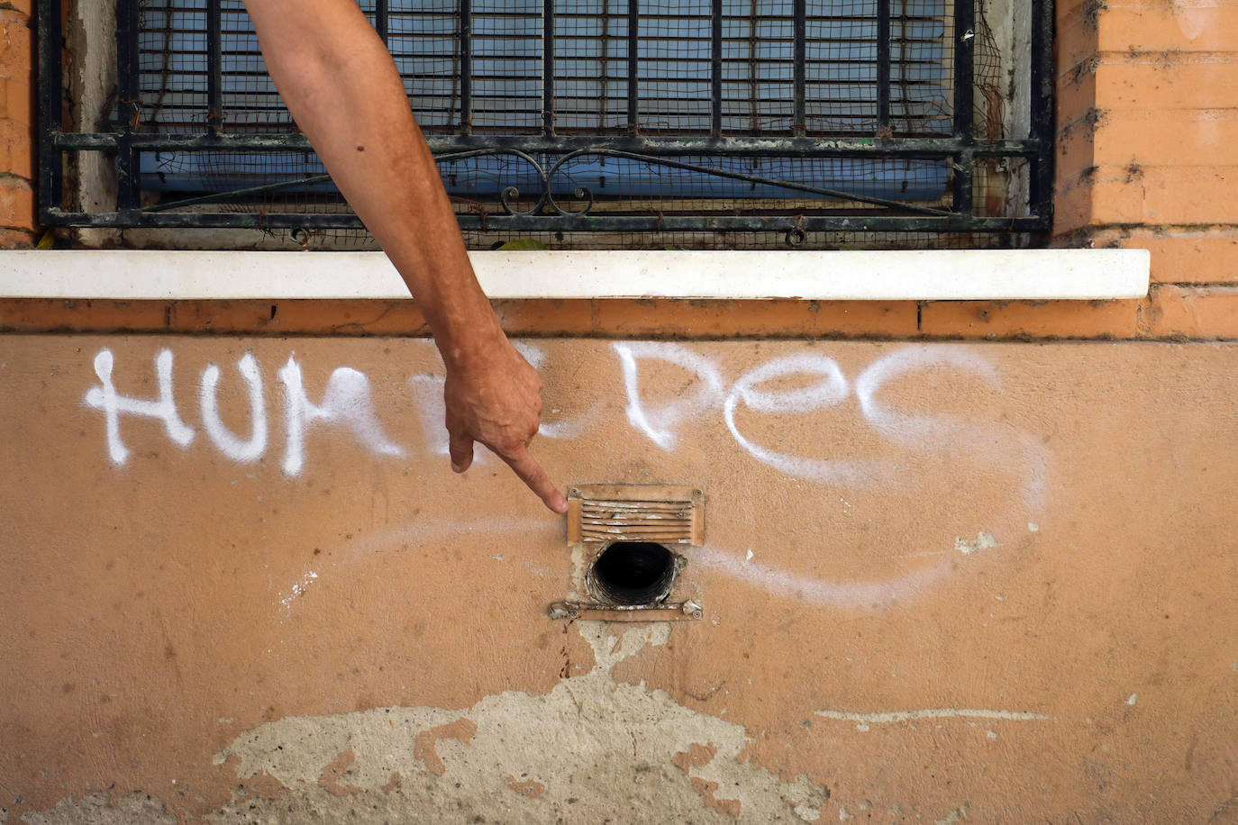 Fotos: Madrigueras de ratas en Valencia