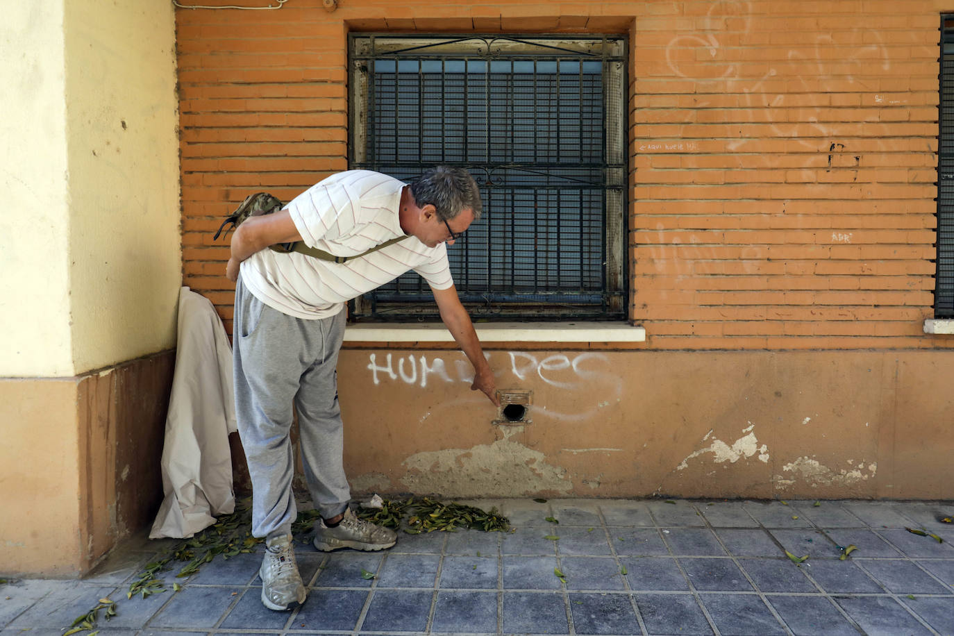 Fotos: Madrigueras de ratas en Valencia