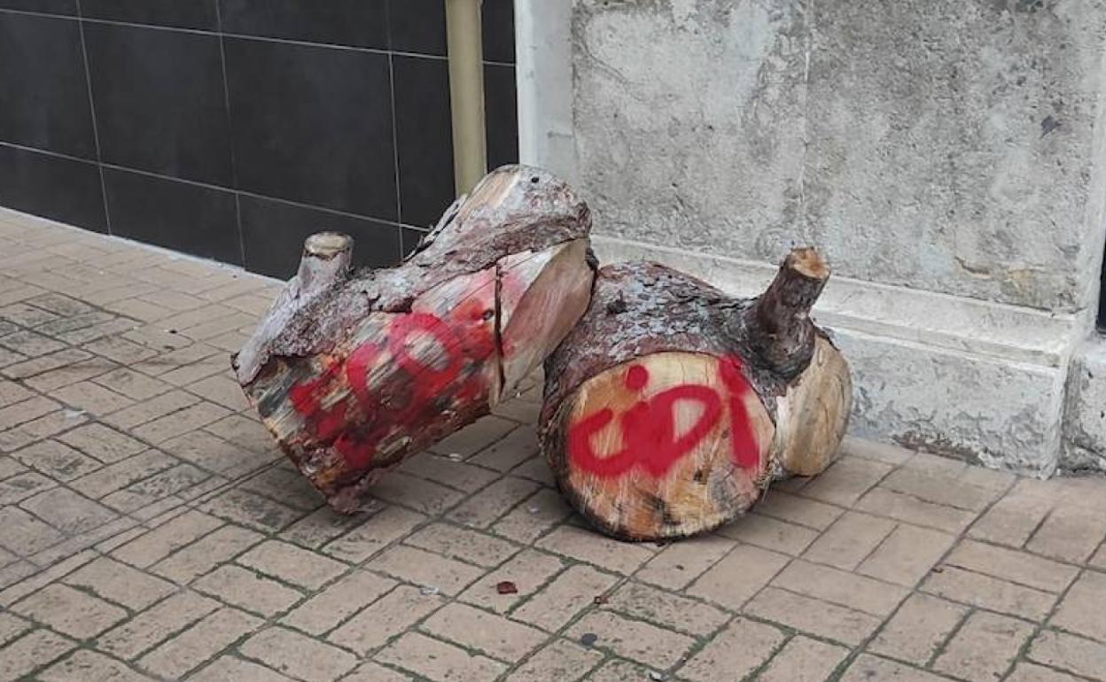 Dos troncos se han depositado a las puertas del ayuntamiento. 