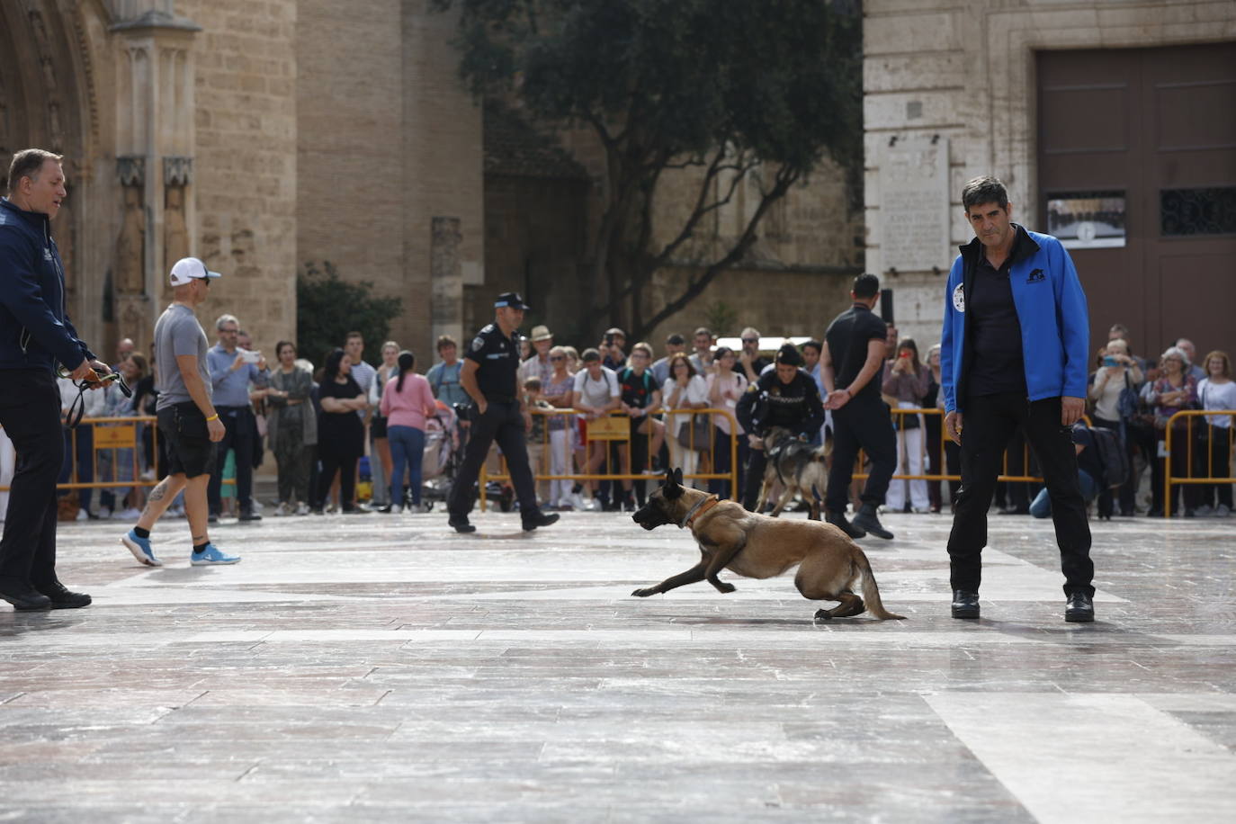 Fotos: Exhibición de unidades caninas de policías y bomberos en la plaza de la Virgen