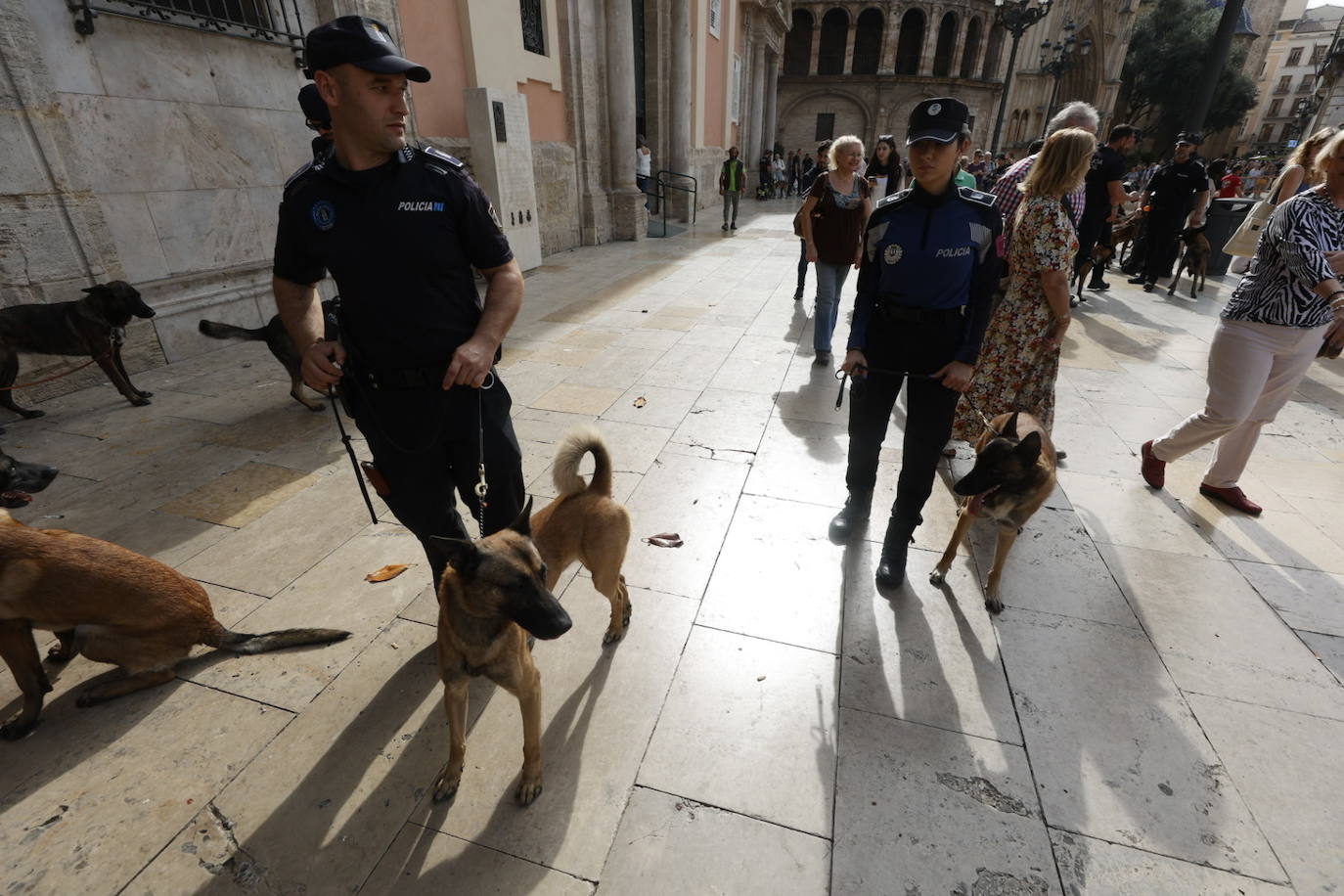 Fotos: Exhibición de unidades caninas de policías y bomberos en la plaza de la Virgen