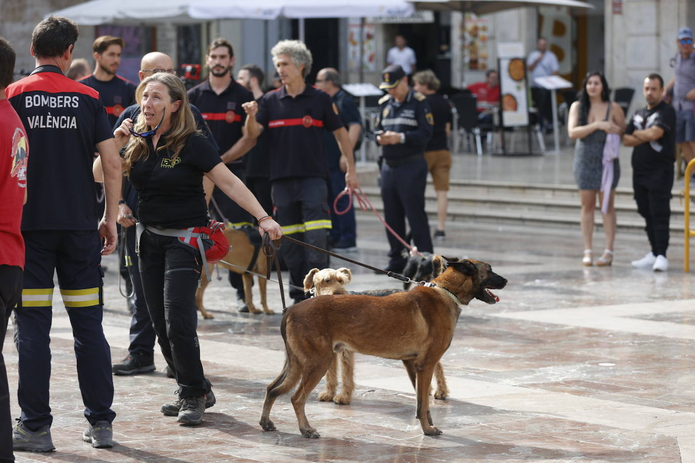 Fotos: Exhibición de unidades caninas de policías y bomberos en la plaza de la Virgen