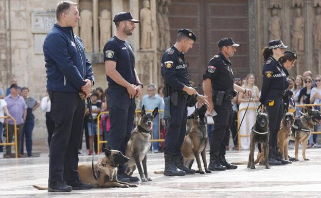 Exhibición canina este miércoles en la plaza de la Virgen.