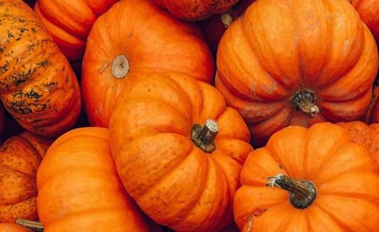 Calabaza, la gran protagonista del otoño. 