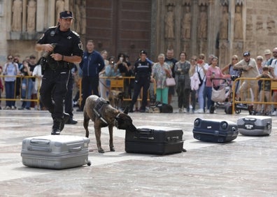 Imagen secundaria 1 - Exhibición en la plaza de la Virgen, rastreo de maletas y precio tras detectar droga. 