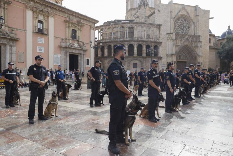 Fotos: Exhibición de unidades caninas de policías y bomberos en la plaza de la Virgen