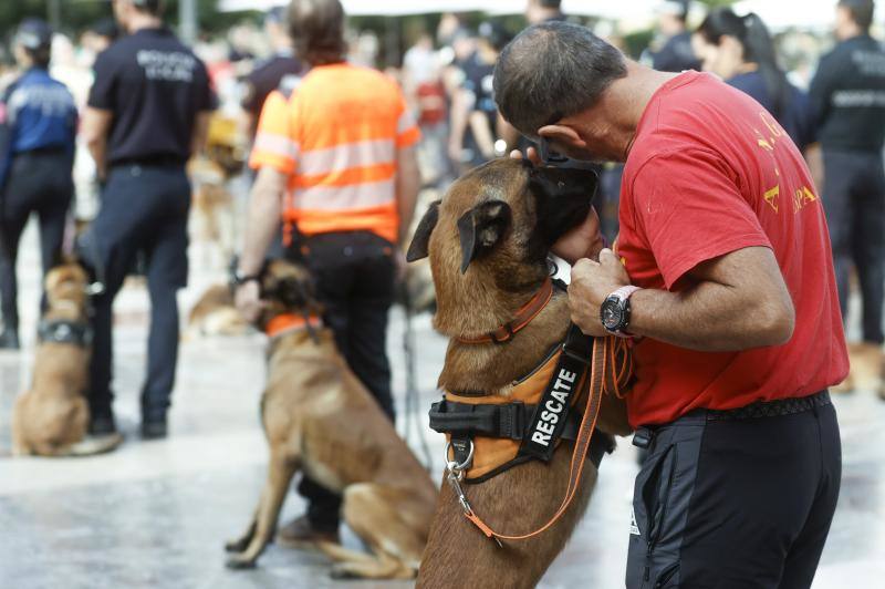 Fotos: Exhibición de unidades caninas de policías y bomberos en la plaza de la Virgen