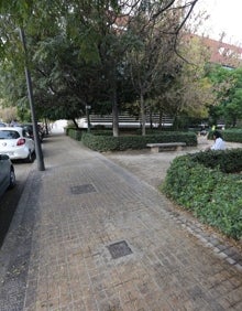 Imagen secundaria 2 - Primer plano con la plaga de insectos y aceras sucias en Campanar. 