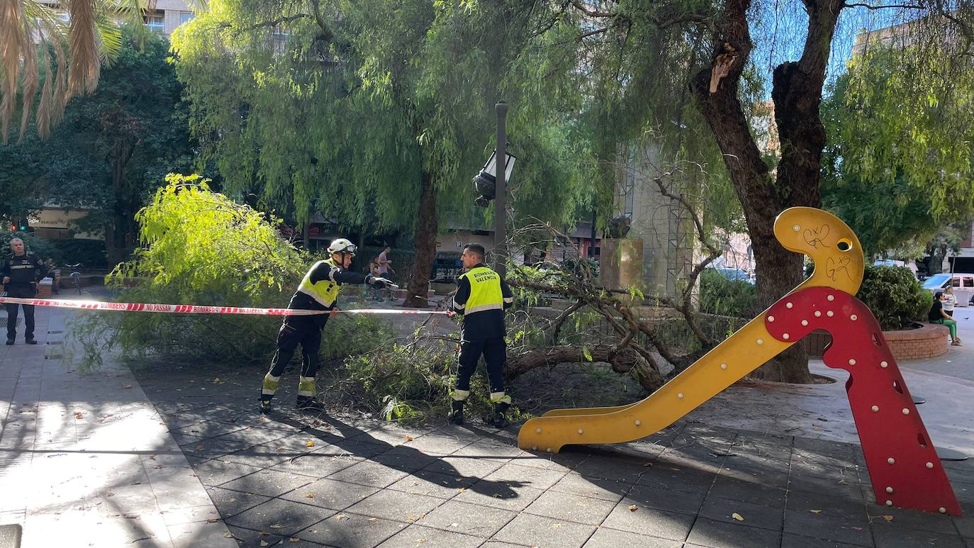 Una persona ha resultado herida y los bomberos han acordonado la zona de juegos infantiles afectada.