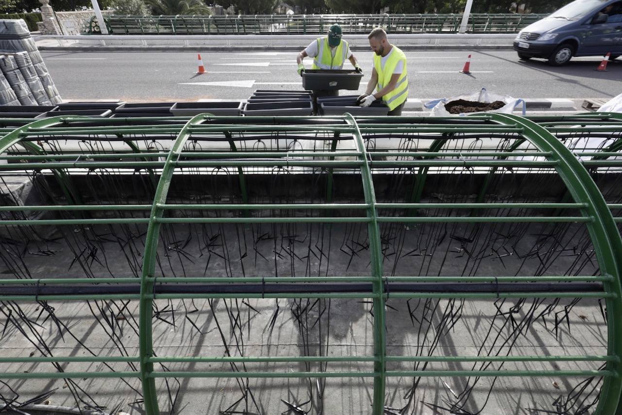 Fotos: El Ayuntamiento de Valencia comienza la puesta en marcha del puente de las Flores