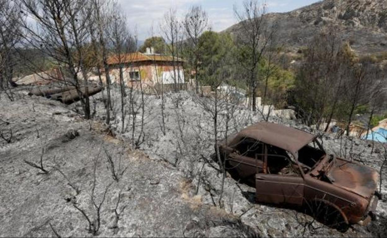 El incendio de 2016 afectó a más de 2.000 hectáreas. 