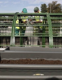 Imagen secundaria 2 - Reparto de los maceteros, en el puente de las Flores. 