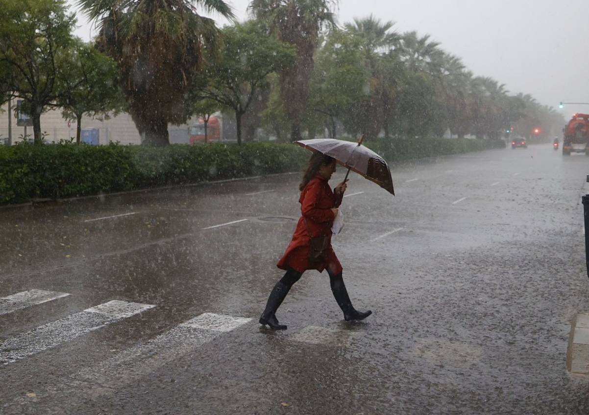 Fotos: Las tormentas torrenciales colapsan la Comunitat