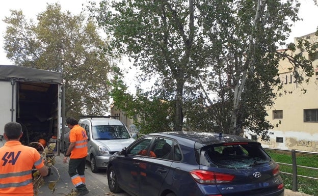 Imagen principal - Los daños causados en un coche en Catarroja por la caída de la rama de un árbol. 