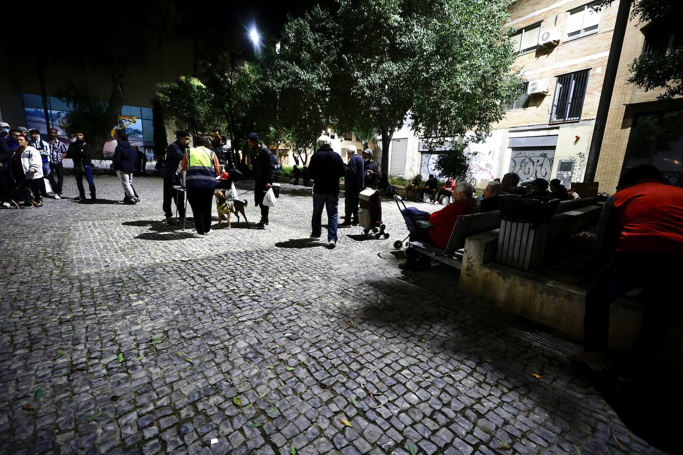 Fotos: La Fundación Ayuda Una Familia reparte comida en Valencia