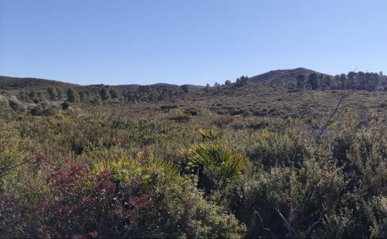 Zona montañosa de Carcaixent. 