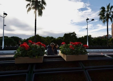 Imagen secundaria 1 - Operarios del OAM de Parques y Jardines, plantando los geranios y murcianas en el puente de las Flores. 