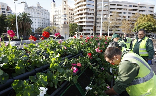 Imagen principal - Operarios del OAM de Parques y Jardines, plantando los geranios y murcianas en el puente de las Flores. 