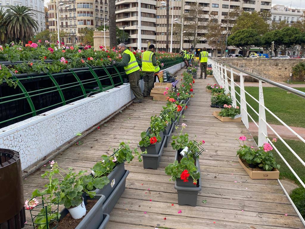 Fotos: El puente de las Flores de Valencia se pone a punto