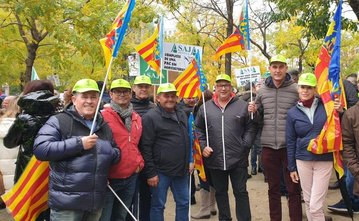 Delegación de AVA-ASAJA en la protesta celebrada en Madrid. 