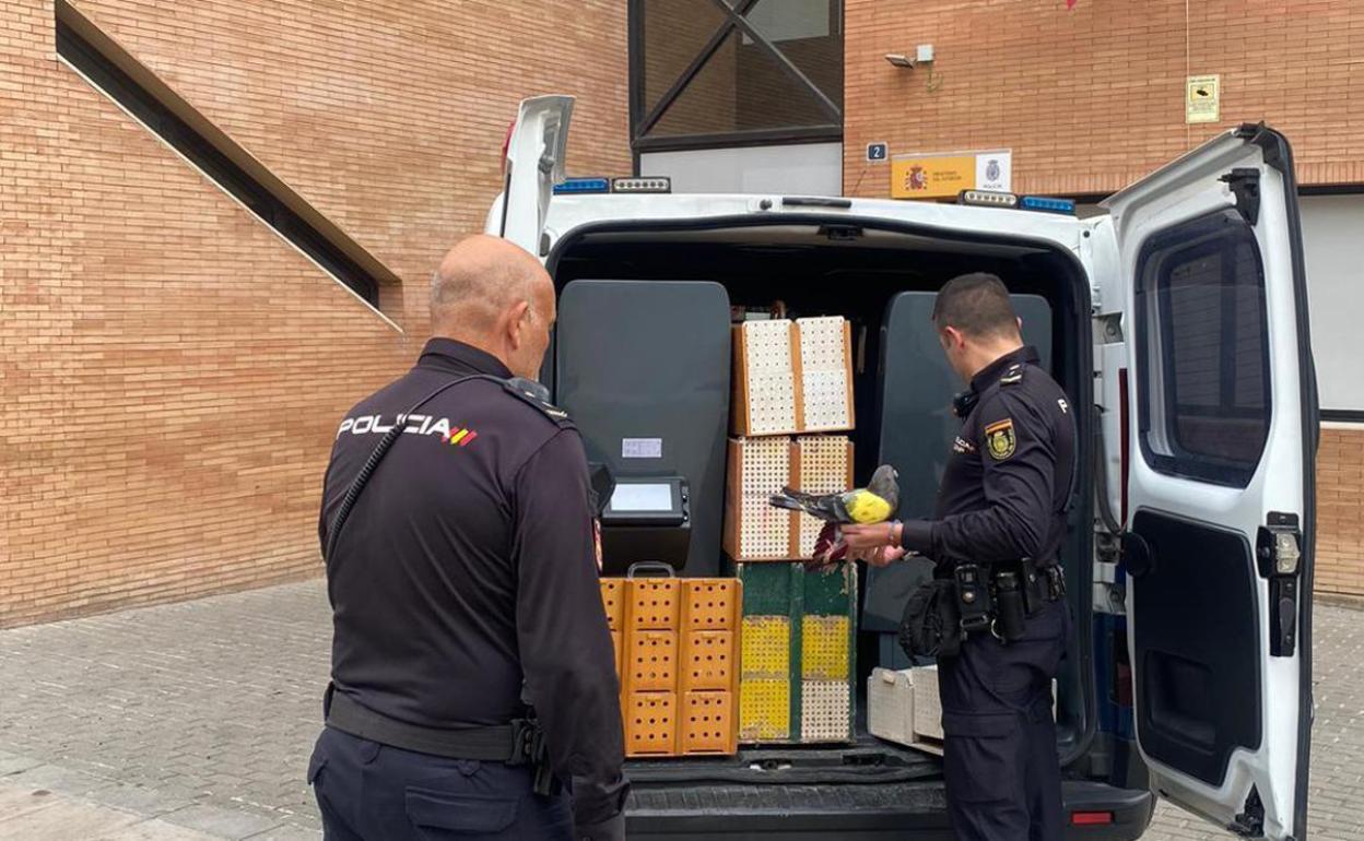 Dos agentes recuperan parte de los palomos robados. 