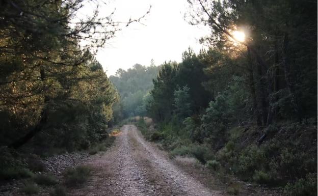 La renaturalización tiene tanto efectos positivos como negativos que deben evaluarse.