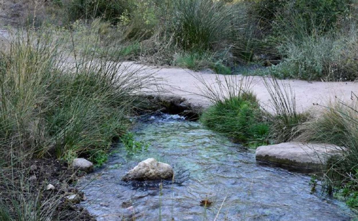 Nueva reserva del río Palancia, en la Comunitat Valenciana.