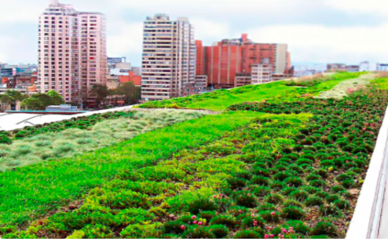 Una azotea verde de un edificio. 