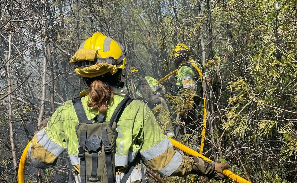 Bomberos forestales en la gestión de un incendio 