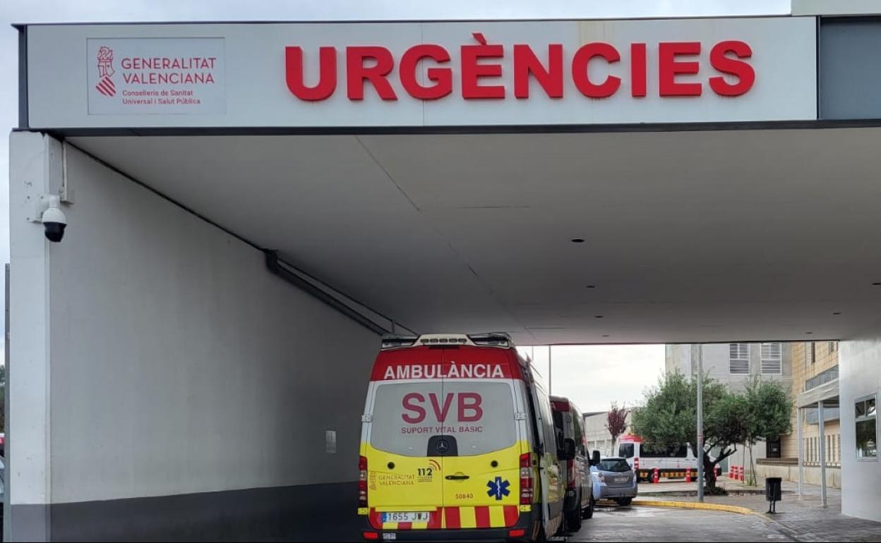 Los medios sanitarios no han podido salvar la vida de la víctima. 