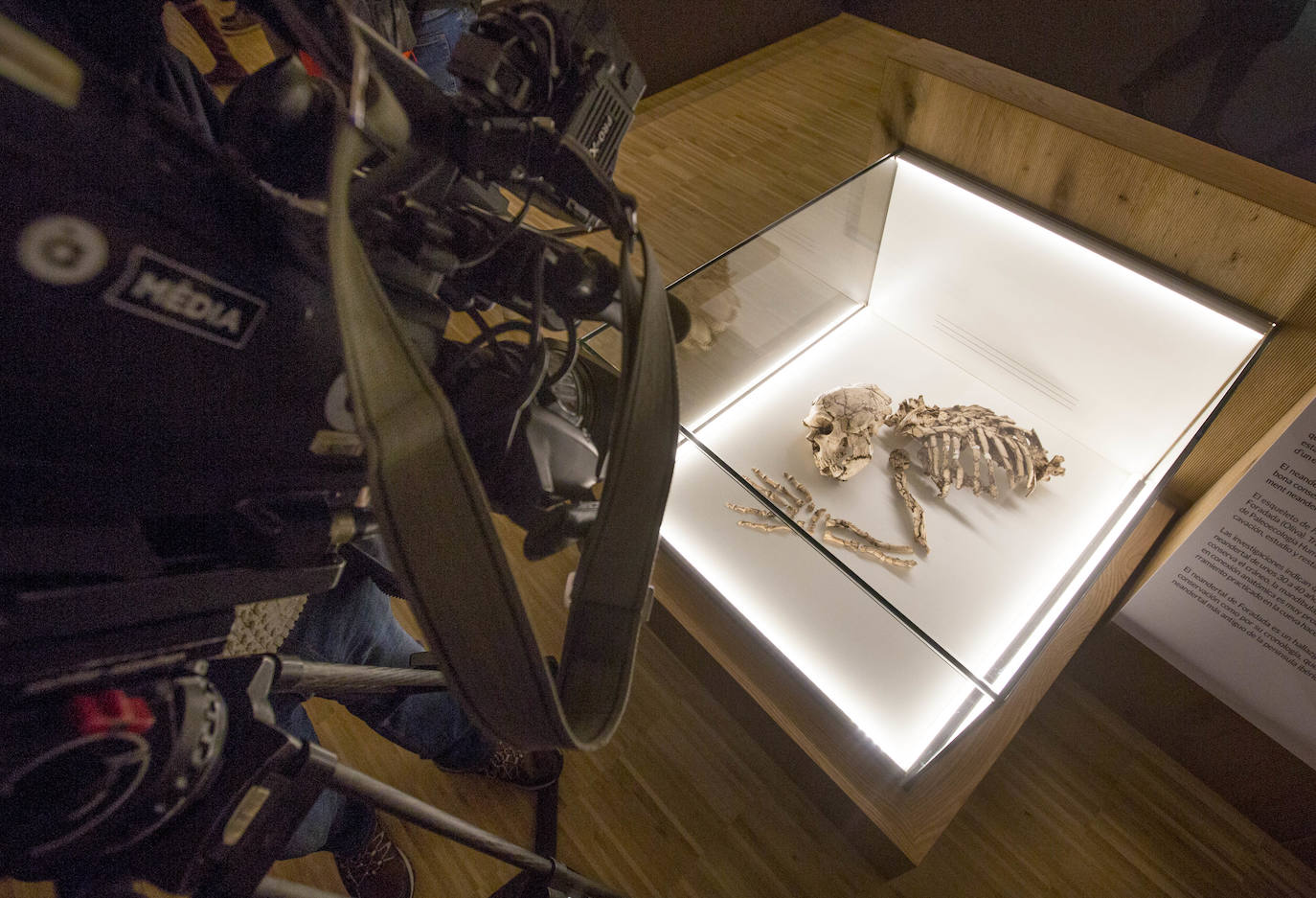 Fotos: Presentación del esqueleto neandertal en el museo de prehistoria de Valencia