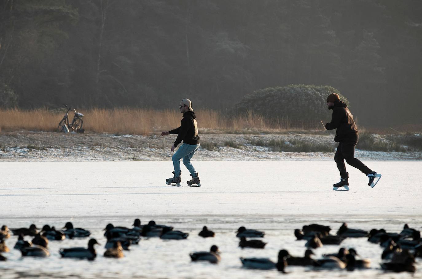Kalmthout, Amberes (Bélgica)