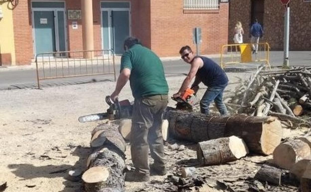 Imagen de José Luis en la poda para el montaje de la hoguera de Sant Onofre. 