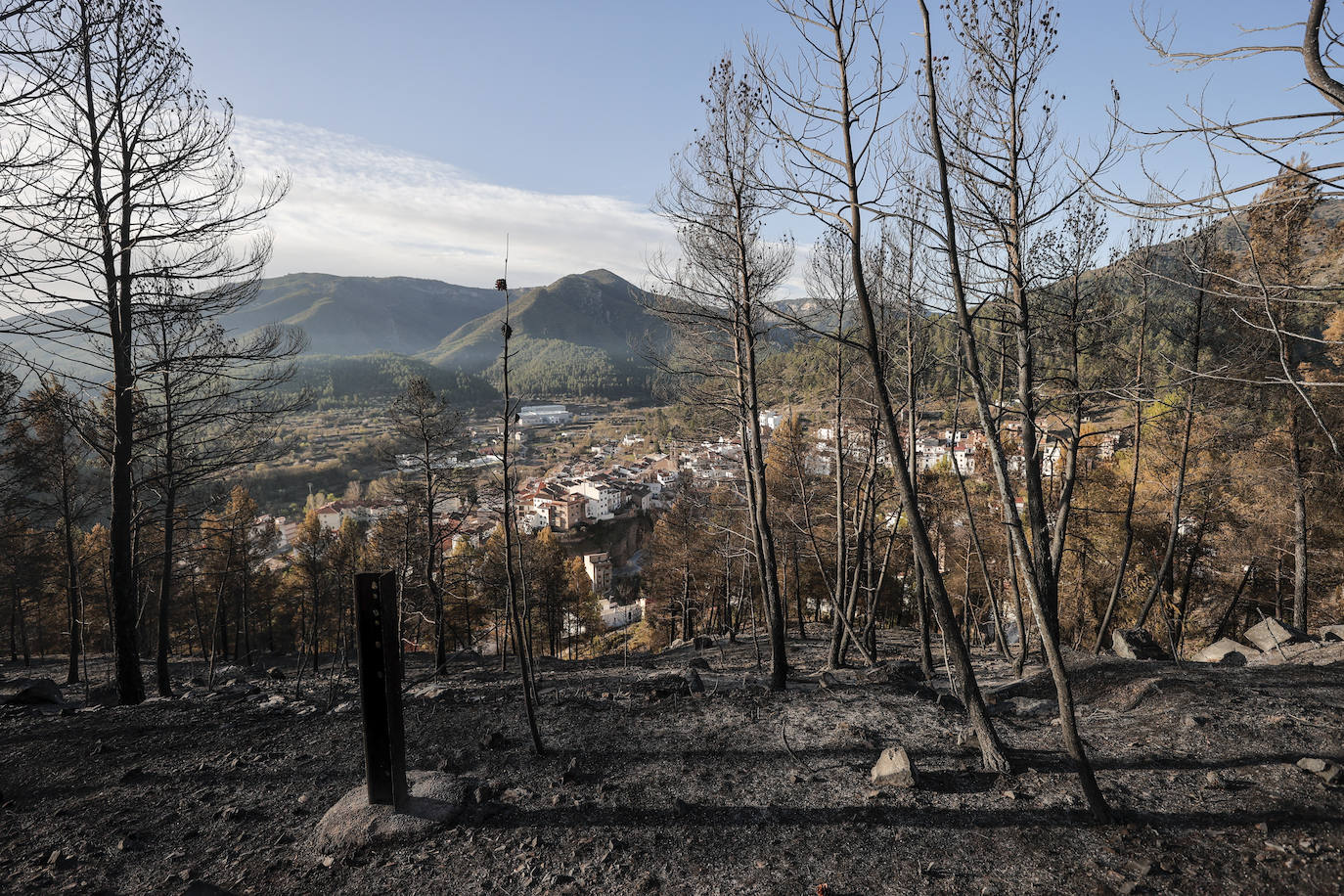 Zona quemada en el municipio de Montán.