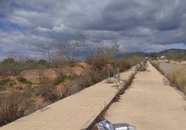 Parte de las farolas destrozadas por los ladrones.