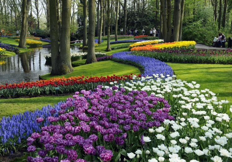 Parque de Keukenhof.