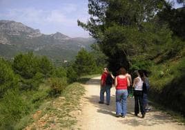 Excursionistas en el valle de la Murta de Alzira.